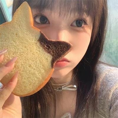 真情玫瑰